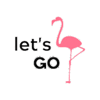 FlaminGOexperiences lets go flamingo flamingo experiences Sticker
