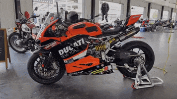 Motorcycles GIF by Gotham Ducati Desmo Owners Club