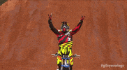 like a boss yes GIF by Red Bull