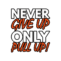 Never Give Up Sticker by GORNATION
