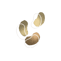assenavGIF bab assenav zoldseg Sticker