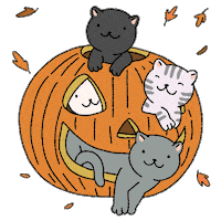 Halloween Cats Sticker by HyperBeard