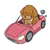 Car Love Sticker by HyperBeard