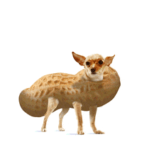 yippee GIF by SKIPPY Peanut Butter