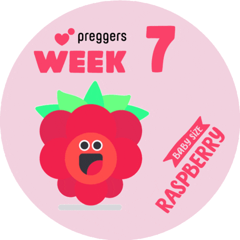 Baby Pregnancy Sticker by Preggers
