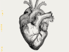 heartbeat GIF