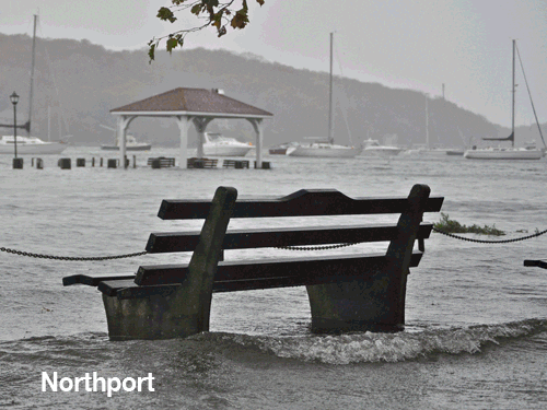 hurricane GIF