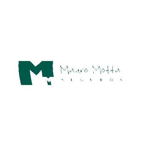 MauroMotta giphygifmaker mm seguros mauromotta Sticker