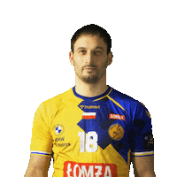 Sport Handball Sticker by VIVE KIELCE