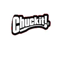 ChuckitFetchGames  Sticker