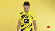 Borussia Dortmund Smiling GIF by Bundesliga