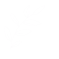 emilyjanebaker_ leaf emilyjanebaker Sticker
