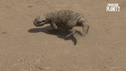 Stay Back Go Away GIF by Apple TV