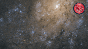 Deep Space Stars GIF by ESA/Hubble Space Telescope