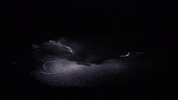 storm raining GIF by Nu Skin