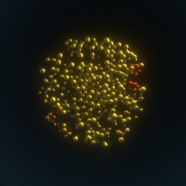 Loop Expand GIF by xponentialdesign