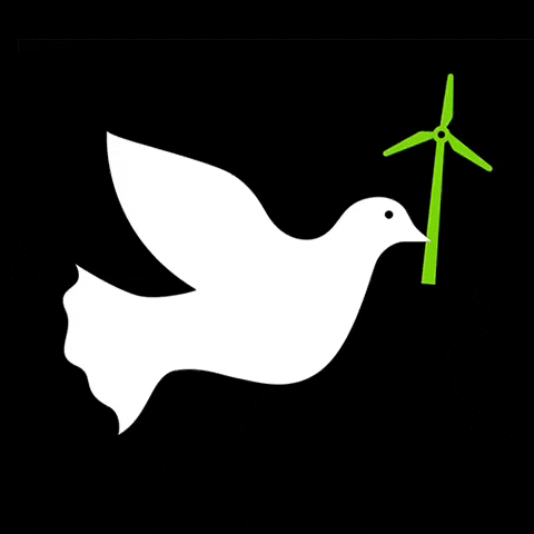 dfeijoostudio energyofpeace renewablesandpeace energiasrenovablesparalapaz fossilfuelsandconflicts GIF