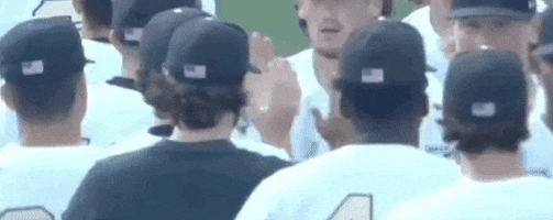 Nc State Baseball GIF by NCAA Championships