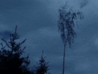 GIF by Jaime Martinez