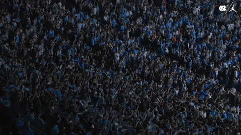 North Carolina Football GIF by UNC Tar Heels