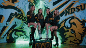 Volleyball Bison GIF by NDSU Athletics