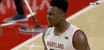college basketball GIF by Maryland Terrapins