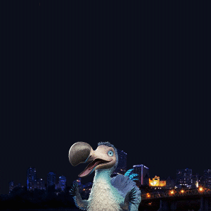 New Year Fireworks GIF by Dodo Australia