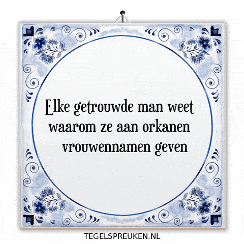 Humor Nl GIF by Tegelspreuken.nl