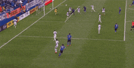 save andre blake GIF by Philadelphia Union