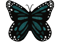 Be Kind Butterfly Sticker