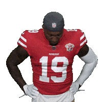 National Football League Sticker by San Francisco 49ers