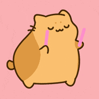 Excited Cat GIF by Bichi Mao