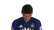 Look Up Hamburger Sv Sticker by Bundesliga