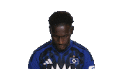 Look Up Hamburger Sv Sticker by Bundesliga