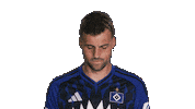 Look Up Hamburger Sv Sticker by Bundesliga