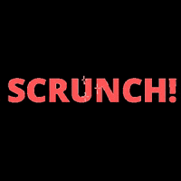 wearescrunch fashion boutique sustainablefashion scrunchies GIF