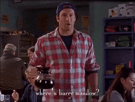 season 2 netflix GIF by Gilmore Girls 