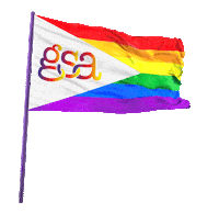 GSAnetwerk gsa paarsevrijdag paarse vrijdag Sticker