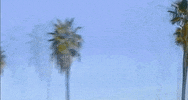 los angeles california GIF