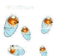 Bendiciones Sticker by Revicheems