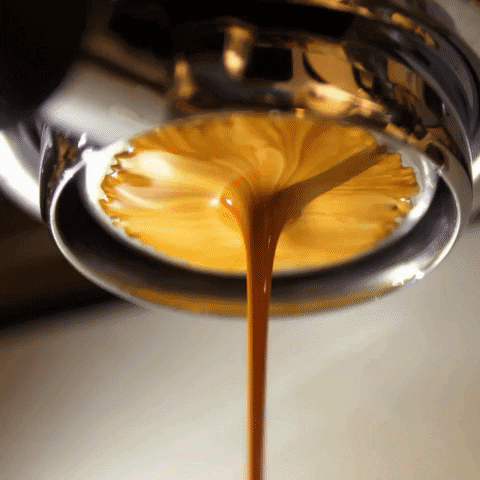 lazenskakava giphyupload espresso cappuccino lazenskakava GIF