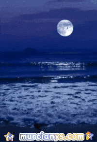 Luna Amigos GIF by Murcianys LLC