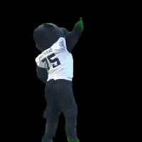 PanterasPuebla football puebla pantera americano GIF