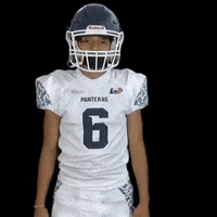 PanterasPuebla football futbol flag puebla GIF