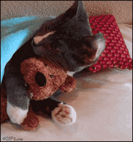night family GIF