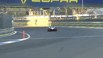 Sacha Speeding