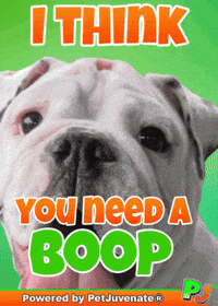 Dog Talk GIF by PetJuvenate - PJ