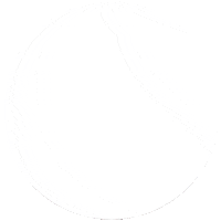 rogercomptonaesthetics roger compton aesthetics rogercomptonaesthetics Sticker