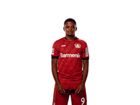 Bayer 04 Deal With It GIF by Bayer 04 Leverkusen