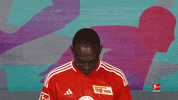 Posing Line Up GIF by Bundesliga